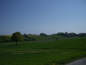 Bungsberg-CTF 519